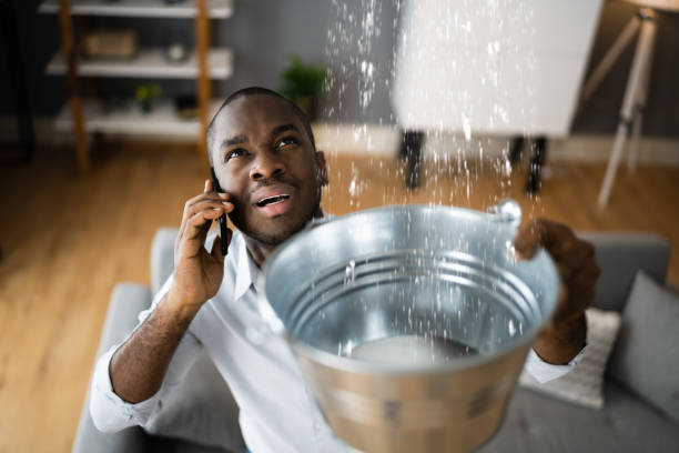 Best Residential water damage restoration  in Rosepine, LA