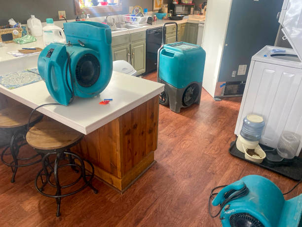 Best Emergency water damage restoration  in Rosepine, LA