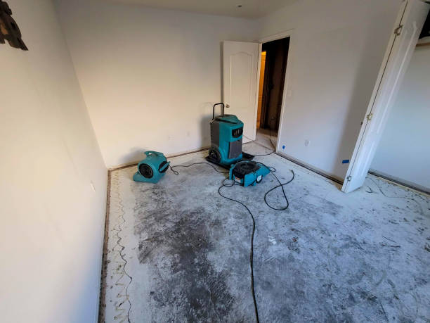 Water damage restoration mold remediation in Rosepine, LA