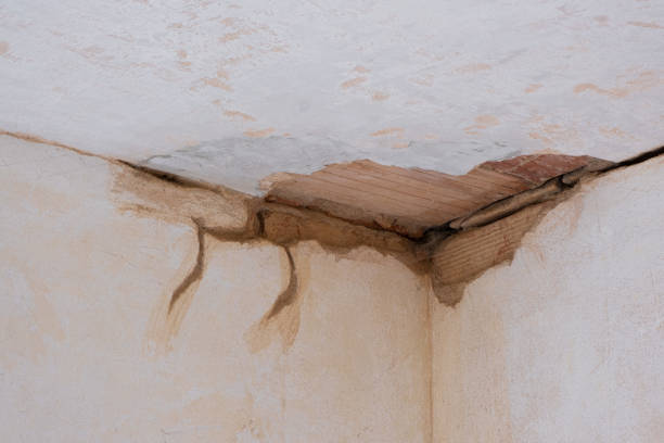 Best 24/7 water damage repair  in Rosepine, LA