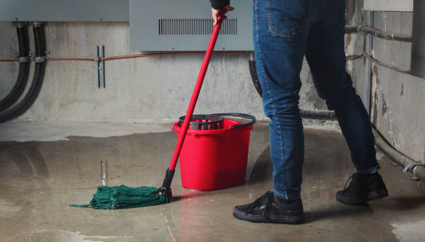 Rosepine, LA Water damage restoration Company