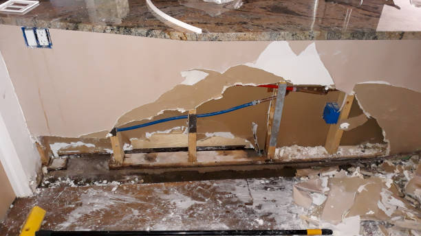 Best Basement water damage restoration  in Rosepine, LA
