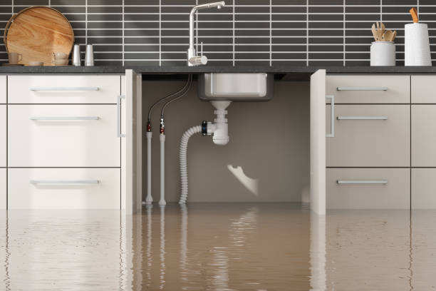 Best Flooded house restoration  in Rosepine, LA