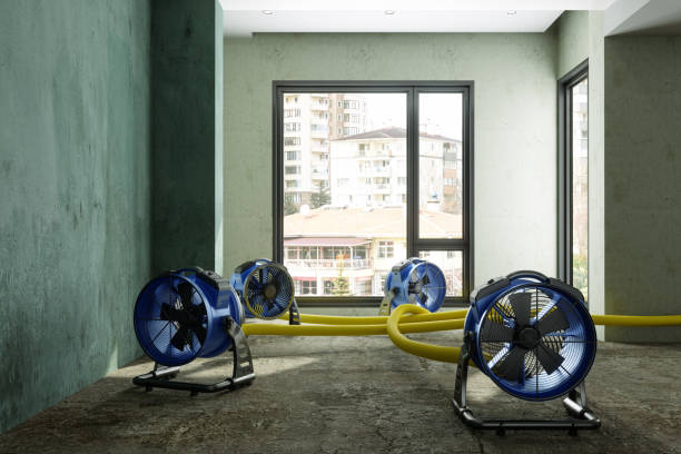 Carpet water damage restoration in Rosepine, LA